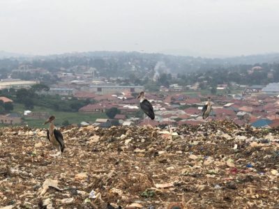Marabu Mülldeponie Kiteezi Kampala Uganda