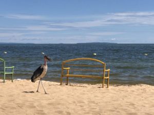 Marabu am Spennah Beach Entebbe